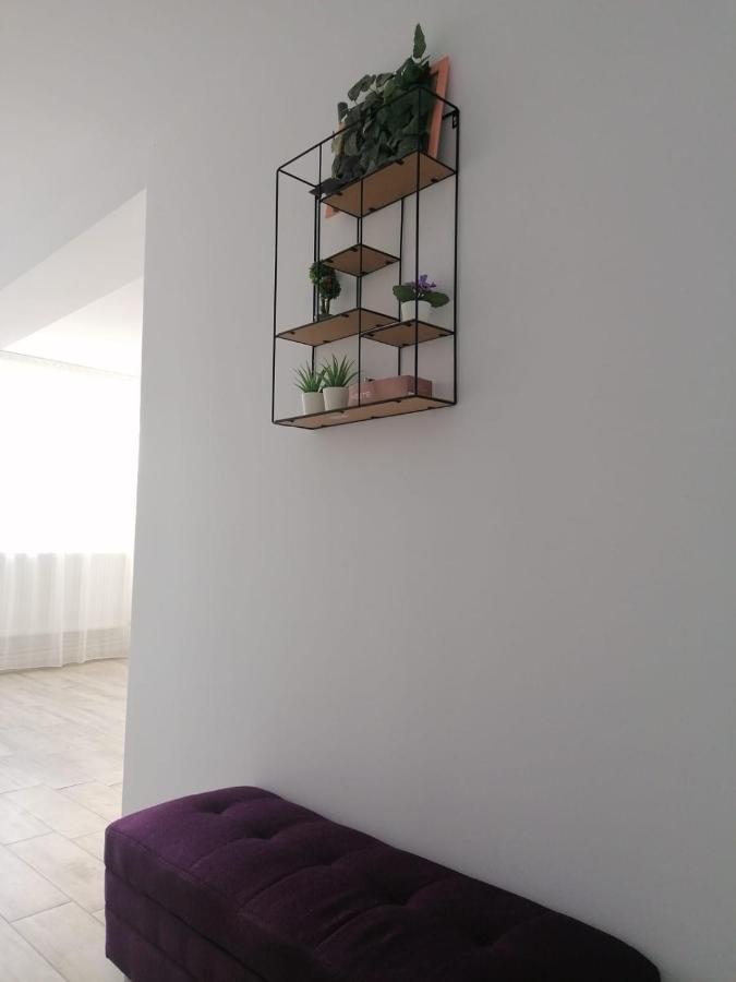 Privatunterkunft Alexandra House *